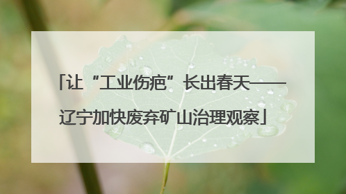 让“工业伤疤”长出春天——辽宁加快废弃矿山治理观察