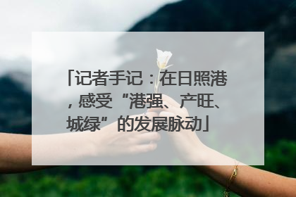 记者手记：在日照港，感受“港强、产旺、城绿”的发展脉动