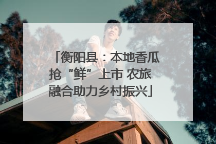 衡阳县：本地香瓜抢“鲜”上市 农旅融合助力乡村振兴