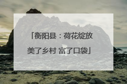 衡阳县：荷花绽放 美了乡村 富了口袋