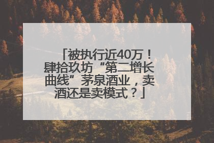 被执行近40万！肆拾玖坊“第二增长曲线”茅泉酒业，卖酒还是卖模式？