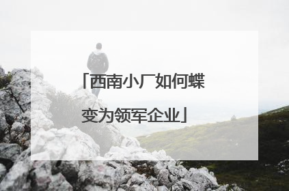 西南小厂如何蝶变为领军企业