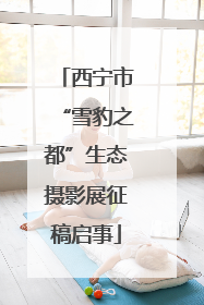 西宁市“雪豹之都”生态摄影展征稿启事