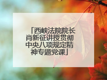 西峡法院院长肖新征讲授贯彻中央八项规定精神专题党课