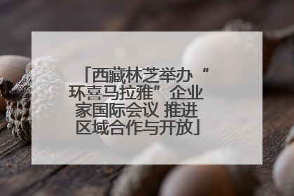 西藏林芝举办“环喜马拉雅”企业家国际会议 推进区域合作与开放