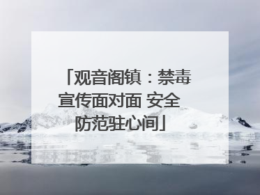 观音阁镇：禁毒宣传面对面 安全防范驻心间