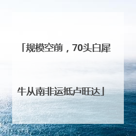 规模空前，70头白犀牛从南非运抵卢旺达