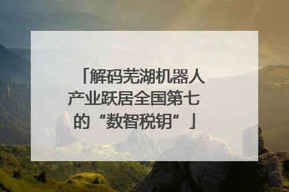 解码芜湖机器人产业跃居全国第七的“数智税钥”