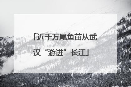 近千万尾鱼苗从武汉“游进”长江
