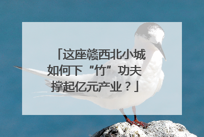 这座赣西北小城如何下“竹”功夫撑起亿元产业？