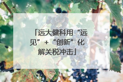 远大健科用“远见”+“创新”化解关税冲击