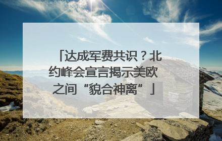 达成军费共识？北约峰会宣言揭示美欧之间“貌合神离”