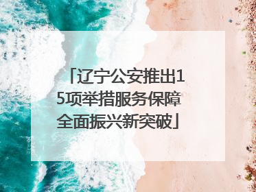 辽宁公安推出15项举措服务保障全面振兴新突破