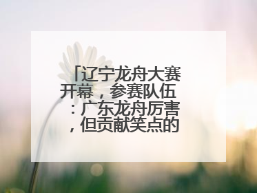 辽宁龙舟大赛开幕，参赛队伍：广东龙舟厉害，但贡献笑点的还是辽宁龙舟