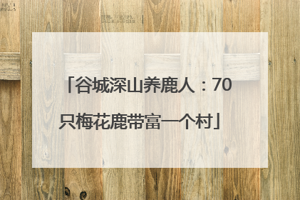 谷城深山养鹿人：70只梅花鹿带富一个村