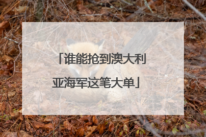 谁能抢到澳大利亚海军这笔大单