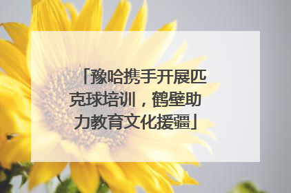 豫哈携手开展匹克球培训，鹤壁助力教育文化援疆