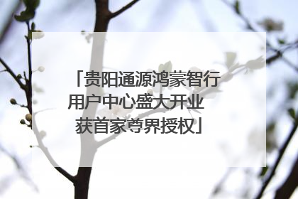 贵阳通源鸿蒙智行用户中心盛大开业 获首家尊界授权