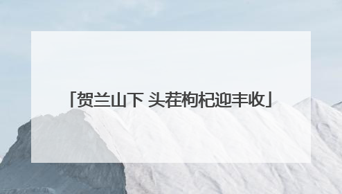 贺兰山下 头茬枸杞迎丰收
