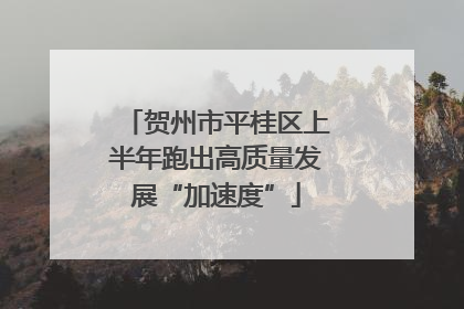 贺州市平桂区上半年跑出高质量发展“加速度”