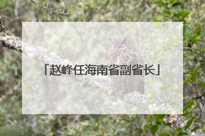 赵峰任海南省副省长