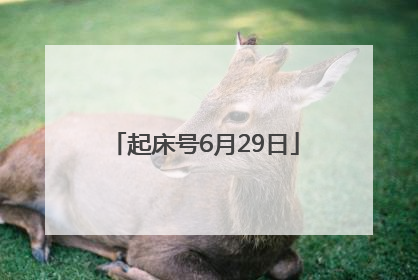 起床号6月29日