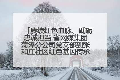 赓续红色血脉、砥砺忠诚担当 省网媒集团菏泽分公司党支部到张和庄社区红色基因传承馆开展主题党日活动