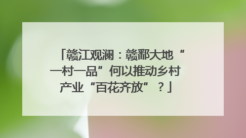 赣江观澜：赣鄱大地“一村一品”何以推动乡村产业“百花齐放”？