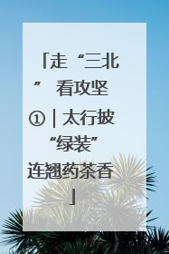 走“三北” 看攻坚①｜太行披“绿装” 连翘药茶香