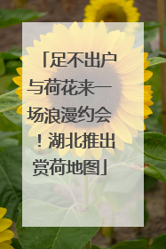 足不出户与荷花来一场浪漫约会！湖北推出赏荷地图