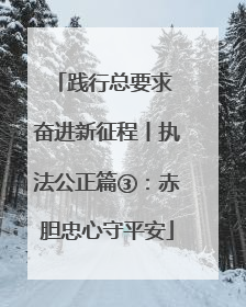 践行总要求 奋进新征程丨执法公正篇③：赤胆忠心守平安