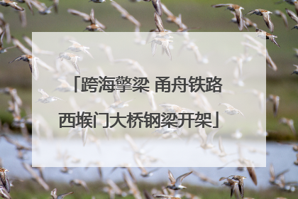跨海擎梁 甬舟铁路西堠门大桥钢梁开架