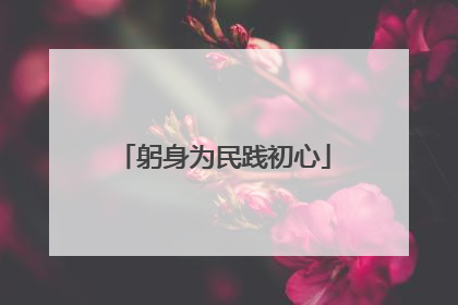 躬身为民践初心