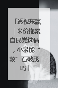 透视东瀛｜米价拖累自民党选情，小泉能“救”石破茂吗