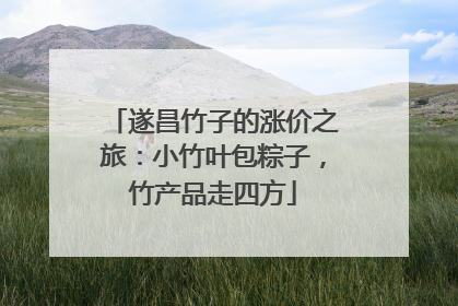 遂昌竹子的涨价之旅：小竹叶包粽子，竹产品走四方