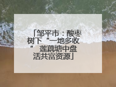 邹平市：酸枣树下“一地多收” 莲藕塘中盘活共富资源