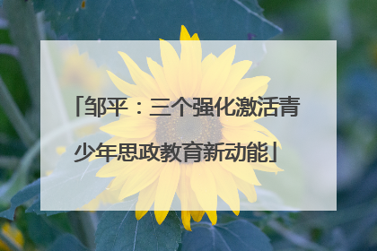 邹平：三个强化激活青少年思政教育新动能
