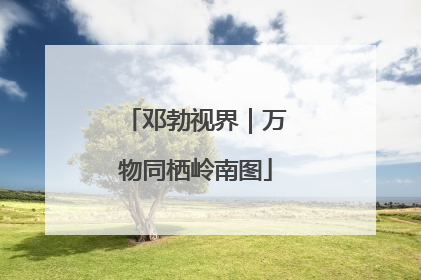 邓勃视界｜万物同栖岭南图