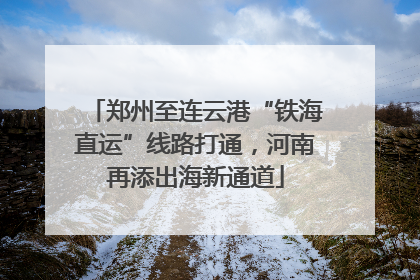 郑州至连云港“铁海直运”线路打通，河南再添出海新通道