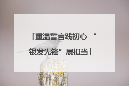 重温誓言践初心 “银发先锋”展担当