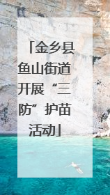 金乡县鱼山街道开展“三防”护苗活动