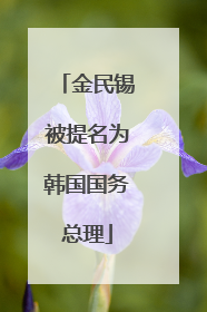 金民锡被提名为韩国国务总理