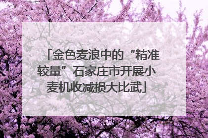 金色麦浪中的“精准较量”石家庄市开展小麦机收减损大比武