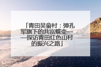 青田吴畲村：弹孔军旗下的共富蝶变——探访青田红色山村的振兴之路