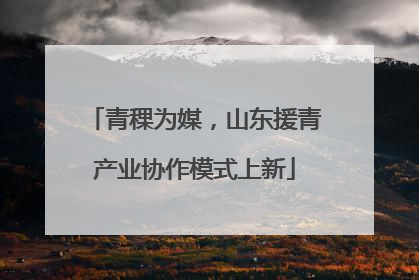 青稞为媒，山东援青产业协作模式上新