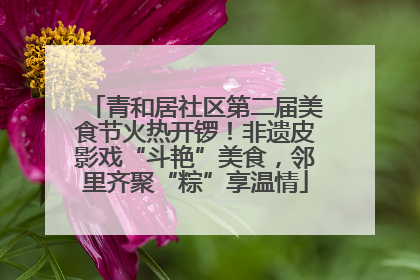青和居社区第二届美食节火热开锣！非遗皮影戏“斗艳”美食，邻里齐聚“粽”享温情