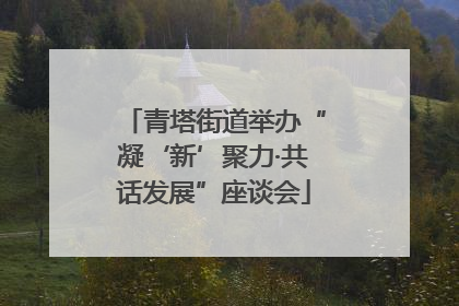 青塔街道举办“凝‘新’聚力·共话发展”座谈会