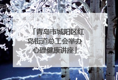 青岛市城阳区红岛街道总工会举办心理健康讲座