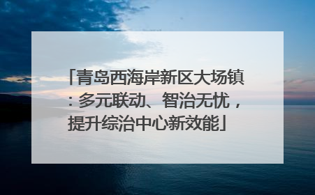 青岛西海岸新区大场镇：多元联动、智治无忧，提升综治中心新效能