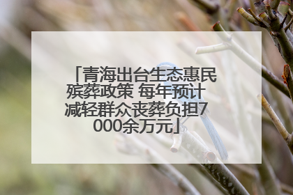 青海出台生态惠民殡葬政策 每年预计减轻群众丧葬负担7000余万元